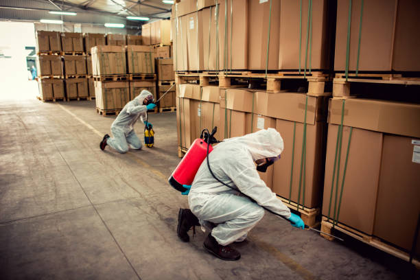 Best Pest Control Near Me in Fairview Shores, FL