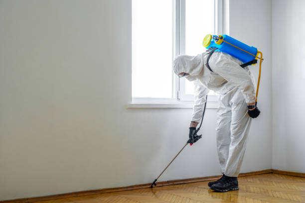 Professional Pest Control in Fairview Shores, FL