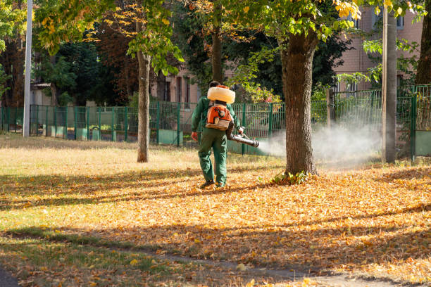 Best Cockroach Control Services  in Fairview Shores, FL